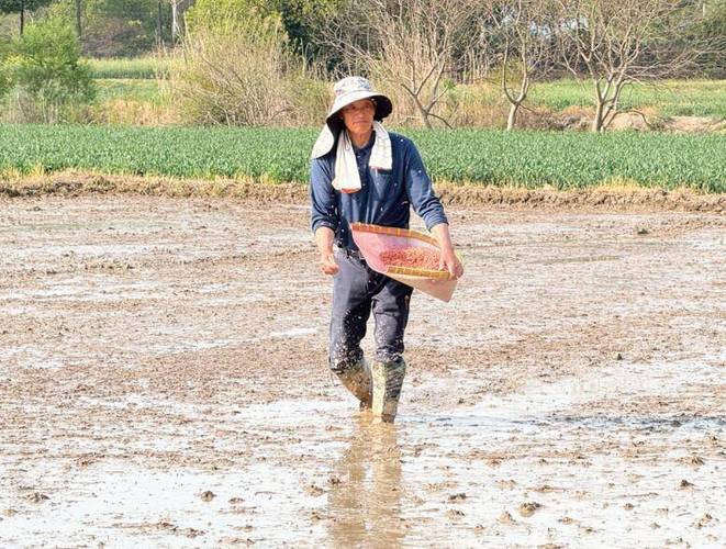 疫情组织春耕物资_疫情防控不误春耕,截至5月5日-第6张图片-德宏生活网