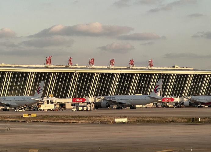 浦东机场关闭疫情，浦东机场关闭消息-第4张图片-德宏生活网