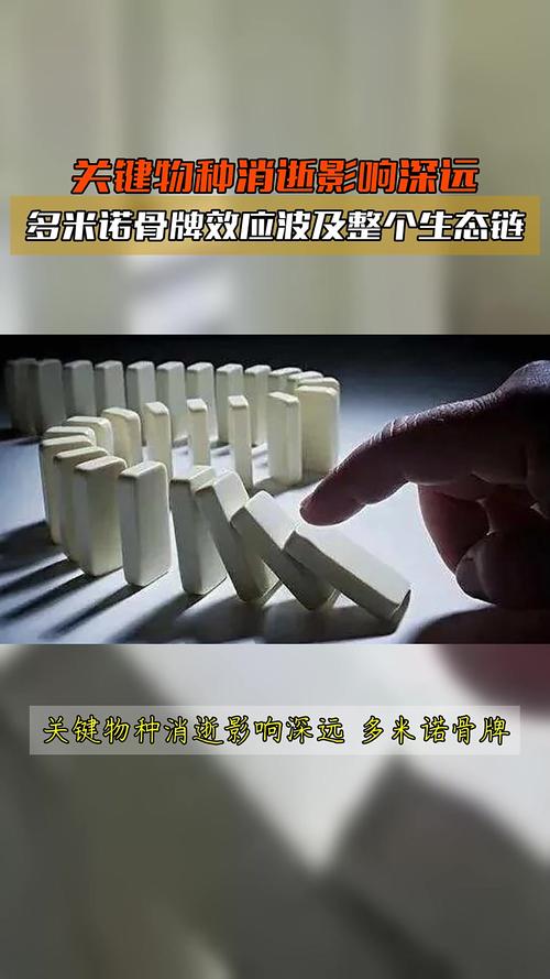 疫情中对于经济，疫情对经济的冲击主要体现在哪些方面-第2张图片-德宏生活网