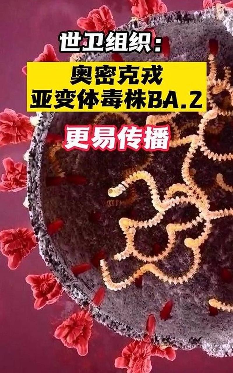 天津新增疫情病例，天津新增疫情病例行动轨迹-第4张图片-德宏生活网