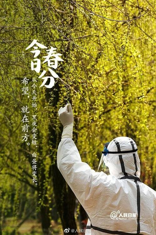 春暖花开对疫情_春暖花开形容疫情-第4张图片-德宏生活网