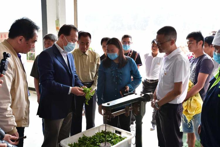 疫情是脱贫攻坚_疫情和脱贫攻坚-第4张图片-德宏生活网 疫情是脱贫攻坚_疫情和脱贫攻坚-第4张图片-德宏生活网