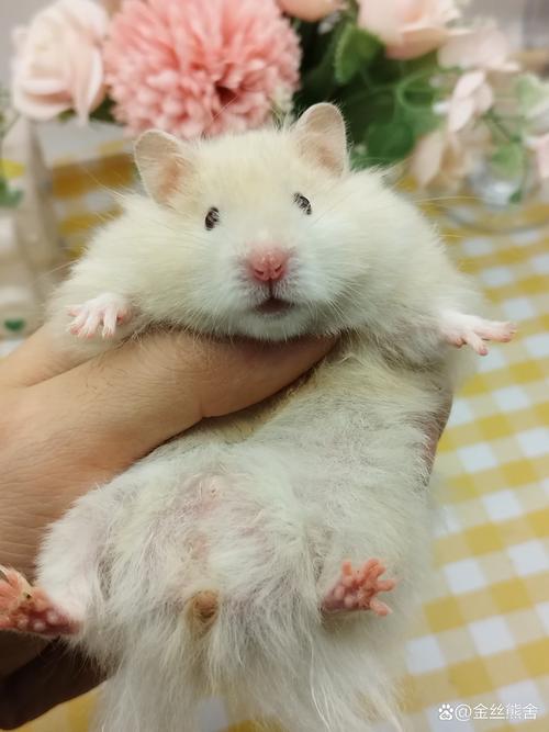 武汉疫情发展以来-武汉疫情爆发以来？-第4张图片-德宏生活网