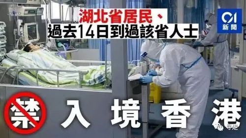 香港疫情接种疫苗-香港疫苗情况?-第4张图片-德宏生活网 香港疫情接种疫苗-香港疫苗情况?-第4张图片-德宏生活网