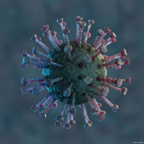 中国新型疫情最新_中国新型冠状最新情况-第3张图片-德宏生活网 中国新型疫情最新_中国新型冠状最新情况-第3张图片-德宏生活网