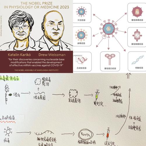 疫情药物和疫苗-疫苗和药物哪个副作用大?-第2张图片-德宏生活网 疫情药物和疫苗-疫苗和药物哪个副作用大?-第2张图片-德宏生活网