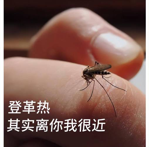 广东疫情19日_广东新增19例确诊轨迹-第3张图片-德宏生活网