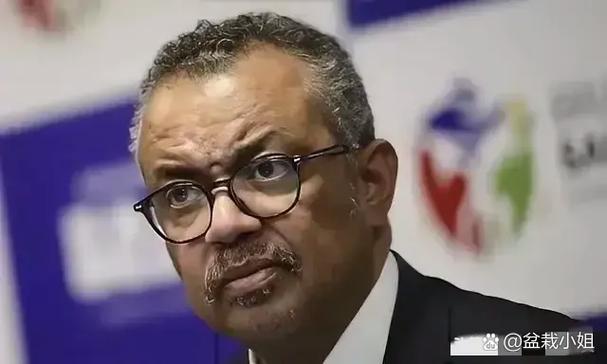 世界疫情数据情况，世界疫情动态数据-第5张图片-德宏生活网