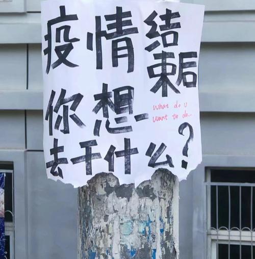 疫情过后的安排-疫情过后工作安排和方案？-第2张图片-德宏生活网