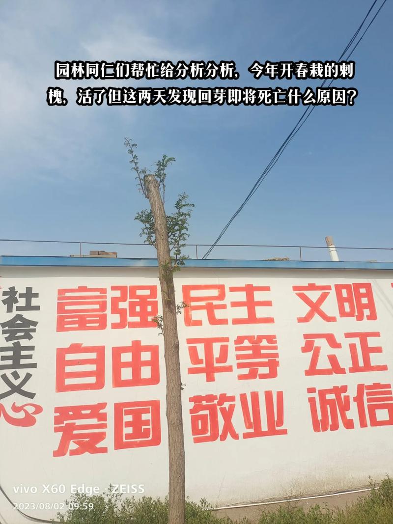 国家今日疫情通告-国家今日疫情通报?-第1张图片-德宏生活网 国家今日疫情通告-国家今日疫情通报?-第1张图片-德宏生活网