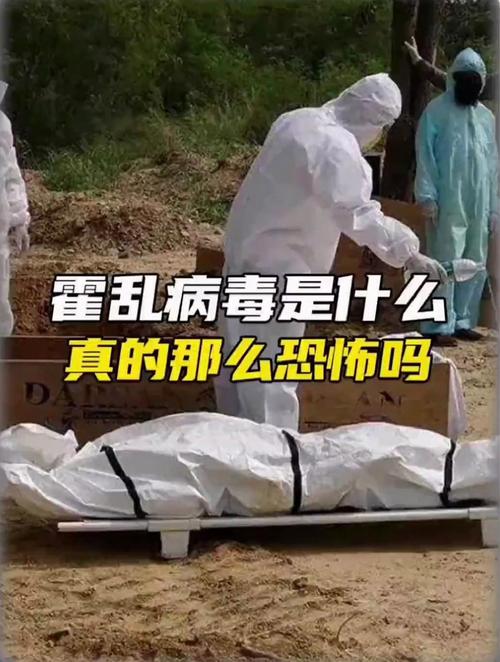 疫情全球140万_全球疫情2000万到3000万-第1张图片-德宏生活网 疫情全球140万_全球疫情2000万到3000万-第1张图片-德宏生活网