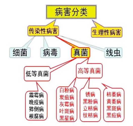 疫情地区人员分类-疫情地区人员分类表？-第2张图片-德宏生活网