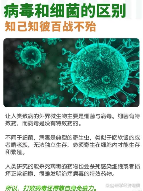 今年疫情的来源_今年疫情的来源是什么-第1张图片-德宏生活网