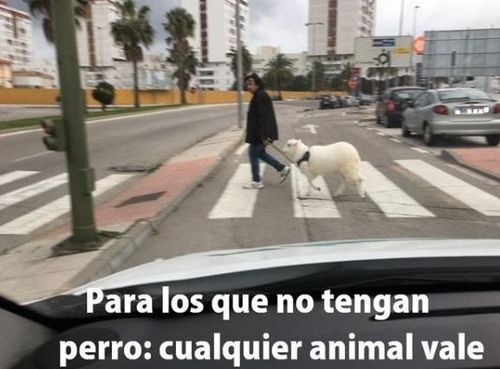 西班牙疫情有多少-西班牙疫情持续多久？-第4张图片-德宏生活网