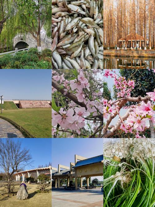 23日潜江疫情-潜江最新新闻26号通告?-第5张图片-德宏生活网 23日潜江疫情-潜江最新新闻26号通告?-第5张图片-德宏生活网