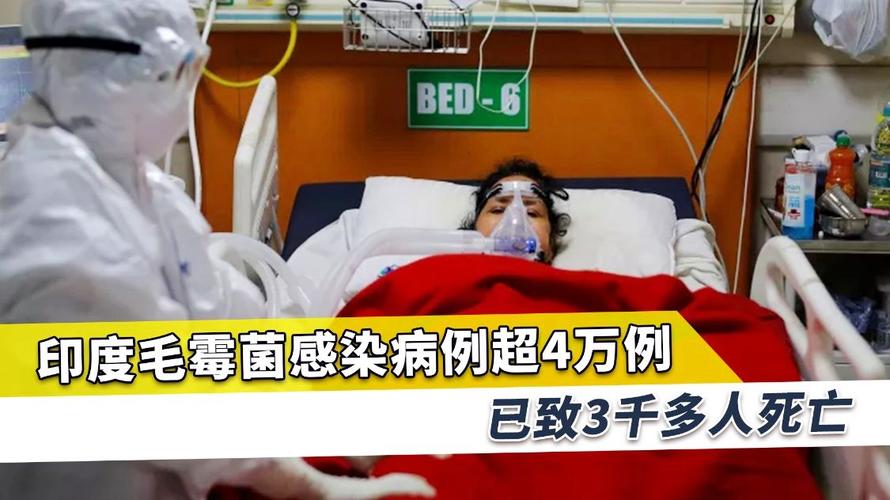 印度政府疫情评价_印度政府疫情评价如何-第1张图片-德宏生活网