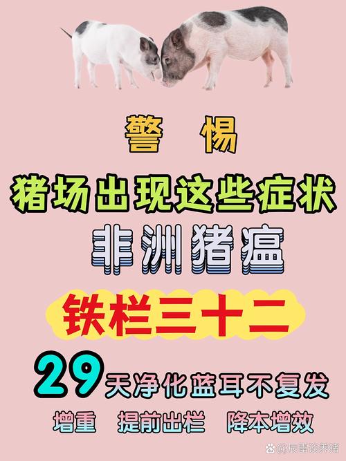 沈阳疫情处理情况_沈阳疫情防控情况-第2张图片-德宏生活网