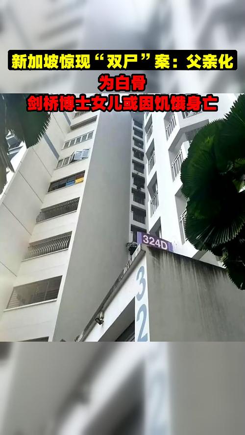 新加坡疫情最新今日,新加坡疫情最新实时数据-第1张图片-德宏生活网 新加坡疫情最新今日,新加坡疫情最新实时数据-第1张图片-德宏生活网