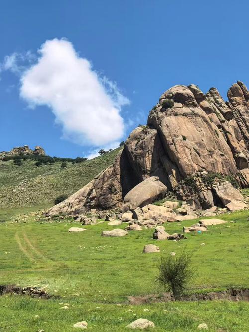 内蒙的疫情情况_内蒙古的疫情最新情况在哪里-第3张图片-德宏生活网