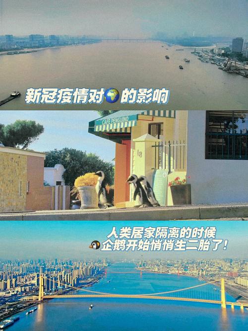 疫情的影响积极，疫情的积极影响作文-第4张图片-德宏生活网