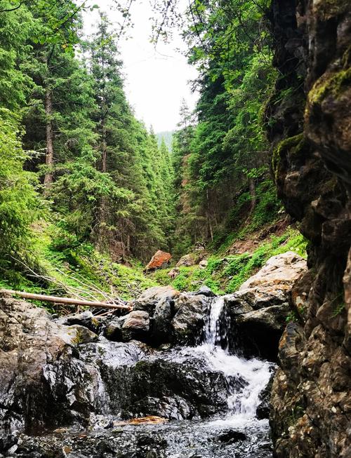 乌鲁木齐县疫情，乌鲁木齐县疫情最新消息-第3张图片-德宏生活网