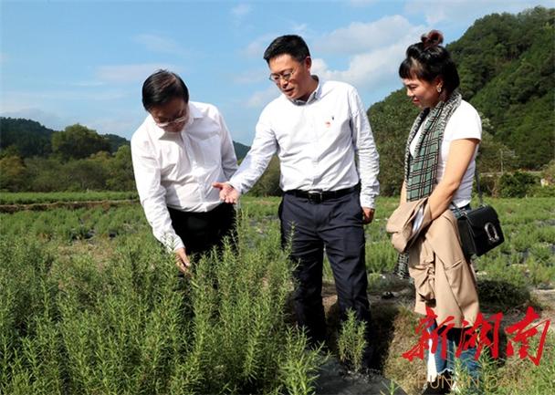 疫情下扶贫工作，疫情下扶贫工作方案-第2张图片-德宏生活网