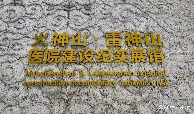 疫情在建的医院，疫情时修建的医院-第1张图片-德宏生活网