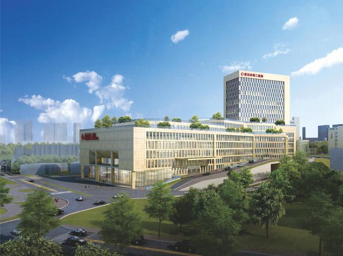 疫情在建的医院，疫情时修建的医院-第3张图片-德宏生活网