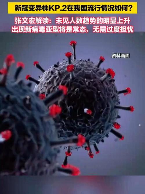 近来疫情有几种-近来疫情有几种类型?-第5张图片-德宏生活网 近来疫情有几种-近来疫情有几种类型?-第5张图片-德宏生活网