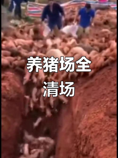 非洲疫情来中国_非洲疫情控制住了吗-第2张图片-德宏生活网