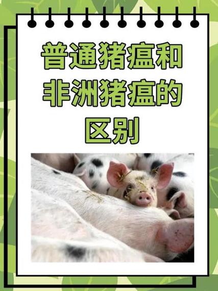 非洲疫情来中国_非洲疫情控制住了吗-第5张图片-德宏生活网