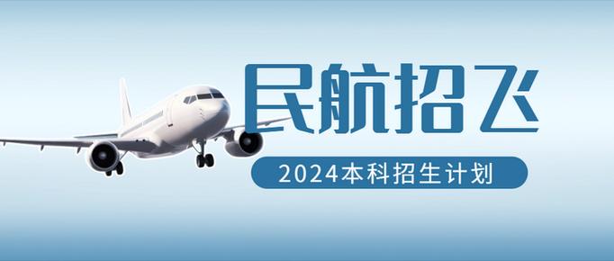 疫情航班熔断机制,航班熔断政策-第4张图片-德宏生活网 疫情航班熔断机制,航班熔断政策-第4张图片-德宏生活网