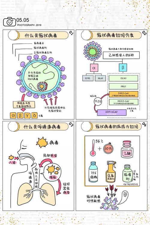 新观众肺炎疫情_新型观众病毒肺炎的传播途径-第5张图片-德宏生活网 新观众肺炎疫情_新型观众病毒肺炎的传播途径-第5张图片-德宏生活网