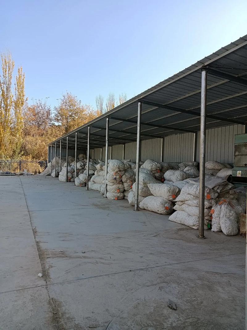 新疆的疫情管理，新疆新冠病毒疫情管理-第2张图片-德宏生活网