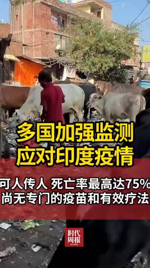 印度疫情开始了-印度疫情再度爆发？-第6张图片-德宏生活网
