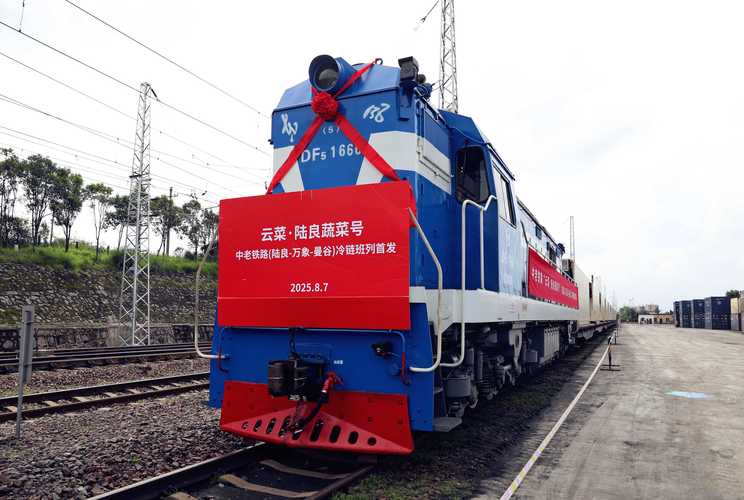 上海突发疫情了吗_上海突发情况-第1张图片-德宏生活网