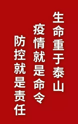对政府抗击疫情，政府抗击疫情的举措和贡献-第3张图片-德宏生活网