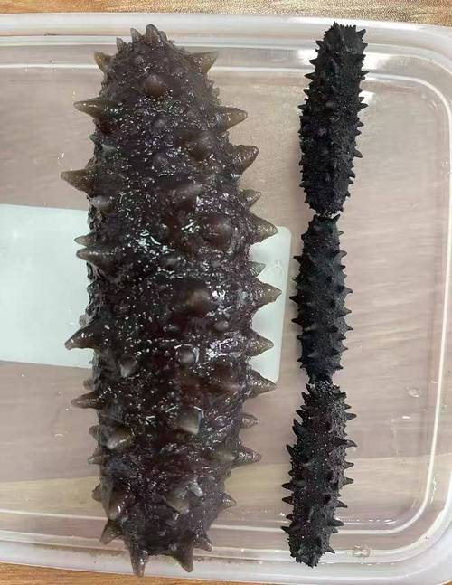 北京疫情源头海鲜_北京疫情是哪个海鲜市场-第2张图片-德宏生活网