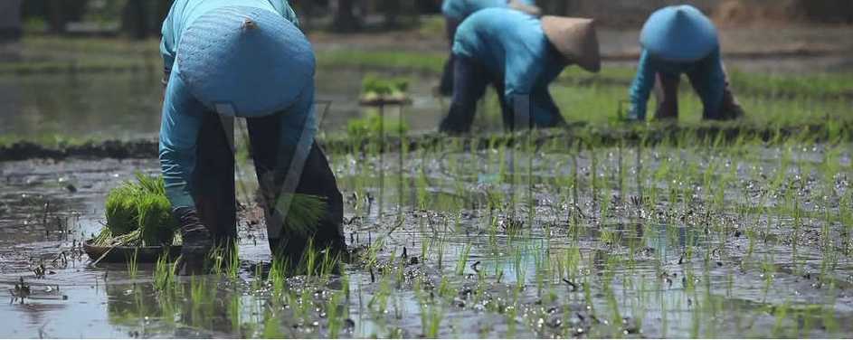 防控疫情重中之重_疫情防控工作的重中之重是什么-第6张图片-德宏生活网