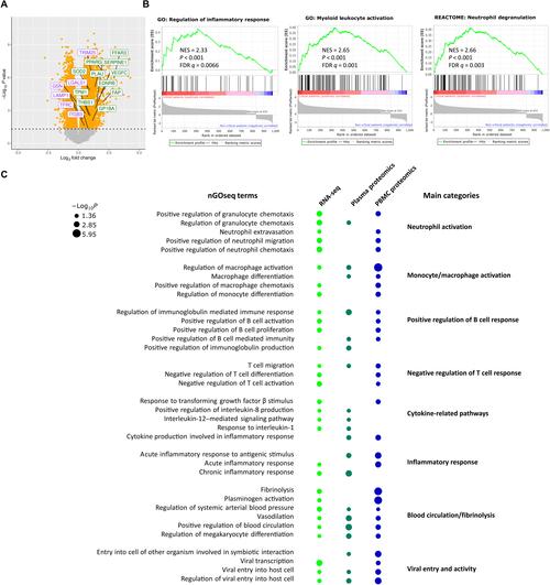 各国疫情数据消息，各国疫情最新消息数据统计一览表-第1张图片-德宏生活网