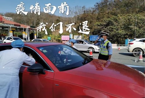 西双版纳肺炎疫情，西双版纳疫情通告-第1张图片-德宏生活网