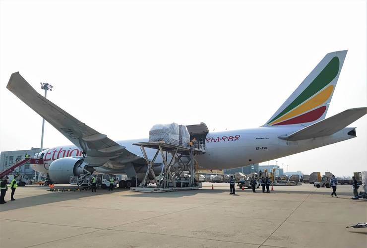 非洲突尼斯疫情-非洲突尼斯疫情最新情况?-第3张图片-德宏生活网 非洲突尼斯疫情-非洲突尼斯疫情最新情况?-第3张图片-德宏生活网