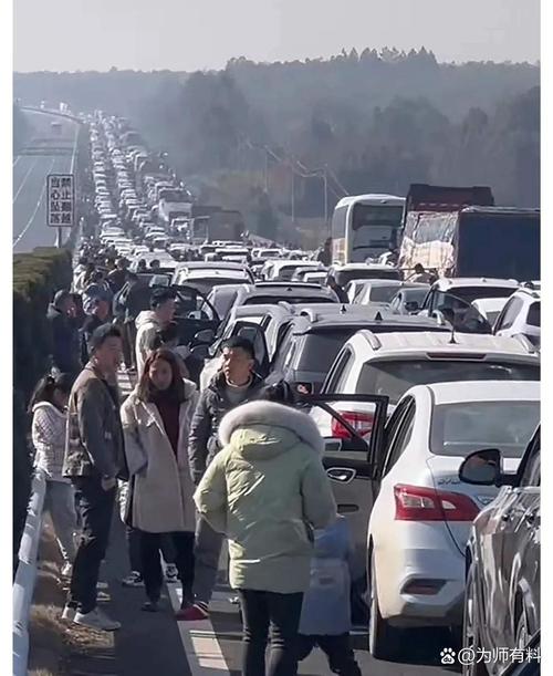 重庆疫情抗击英雄_抗疫英雄 重庆-第2张图片-德宏生活网