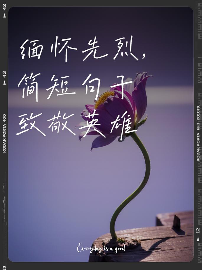 重庆疫情抗击英雄_抗疫英雄 重庆-第4张图片-德宏生活网