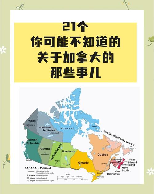 疫情对政策改革-我国对疫情的政策转变过程及看法？-第1张图片-德宏生活网