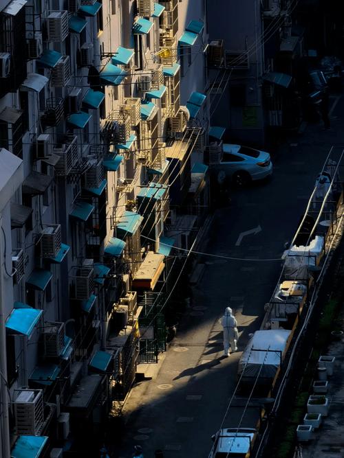 成都疫情基因测序,成都基因检测的费用大概多少钱-第5张图片-德宏生活网 成都疫情基因测序,成都基因检测的费用大概多少钱-第5张图片-德宏生活网