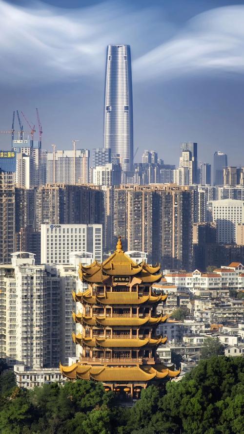 武汉疫情的应对-武汉疫情出现以后国家的一系列应对措施?-第2张图片-德宏生活网 武汉疫情的应对-武汉疫情出现以后国家的一系列应对措施?-第2张图片-德宏生活网