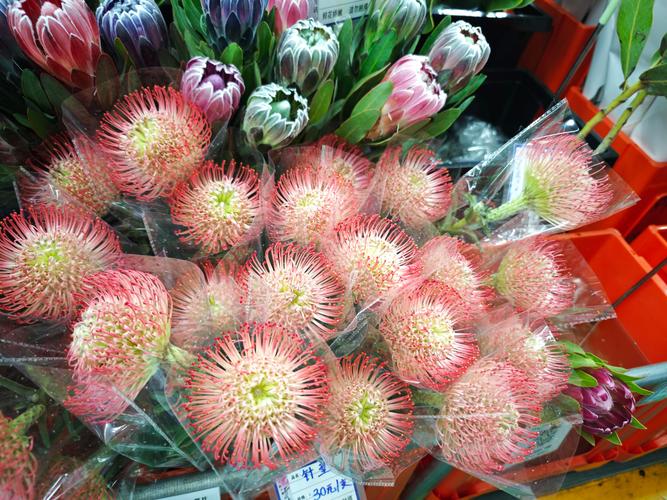 27日昆明疫情，1月27日昆明冠状病毒肺炎情况-第1张图片-德宏生活网