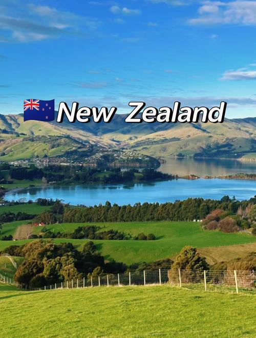 新西兰疫情现状_新西兰疫情最新确诊人数-第6张图片-德宏生活网