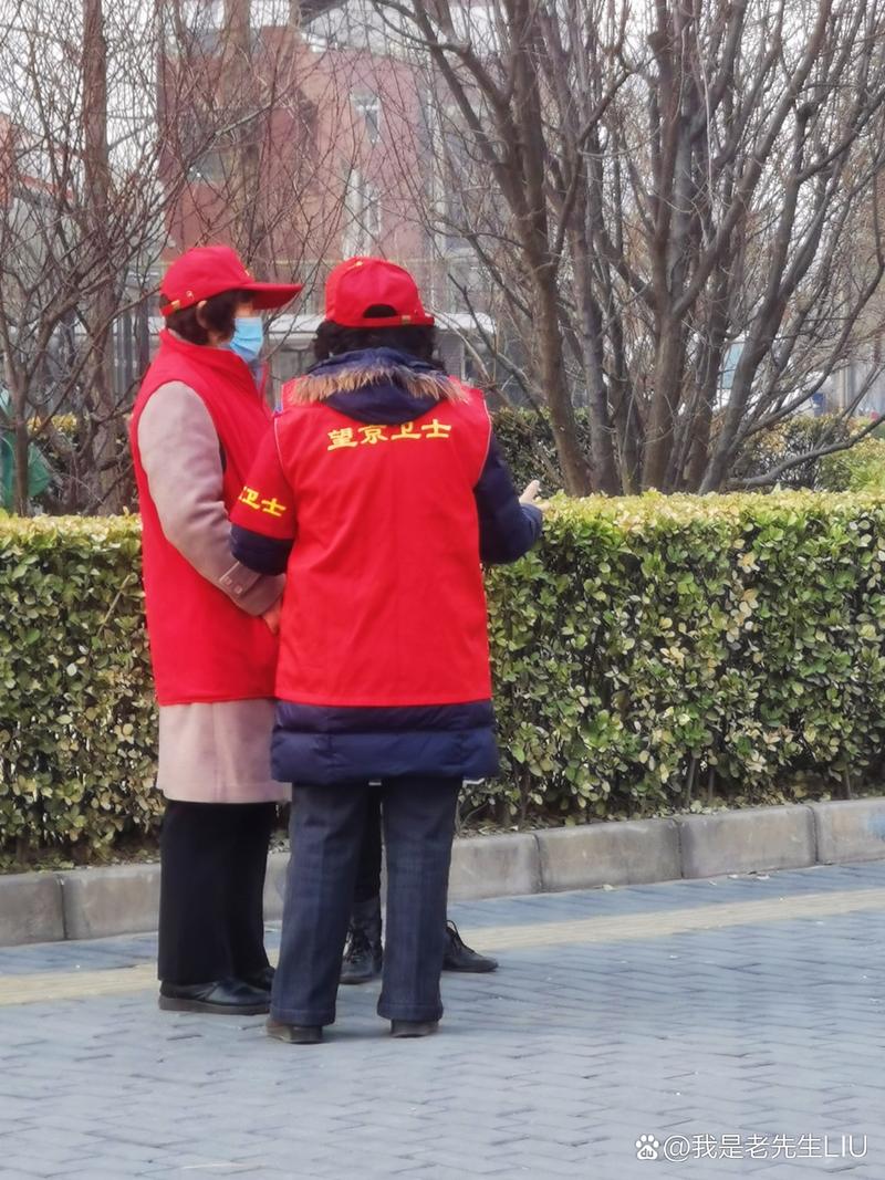 北京社区疫情工作-北京市社区村疫情防控工作指引？-第3张图片-德宏生活网